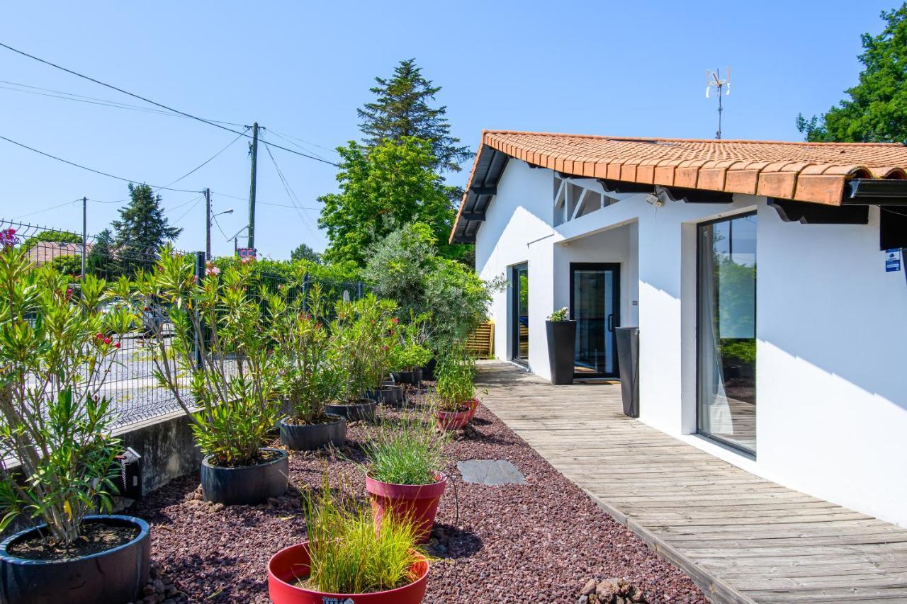 Landescape Ocean, Lacs Et Foret. Biscarrosse Exterior foto